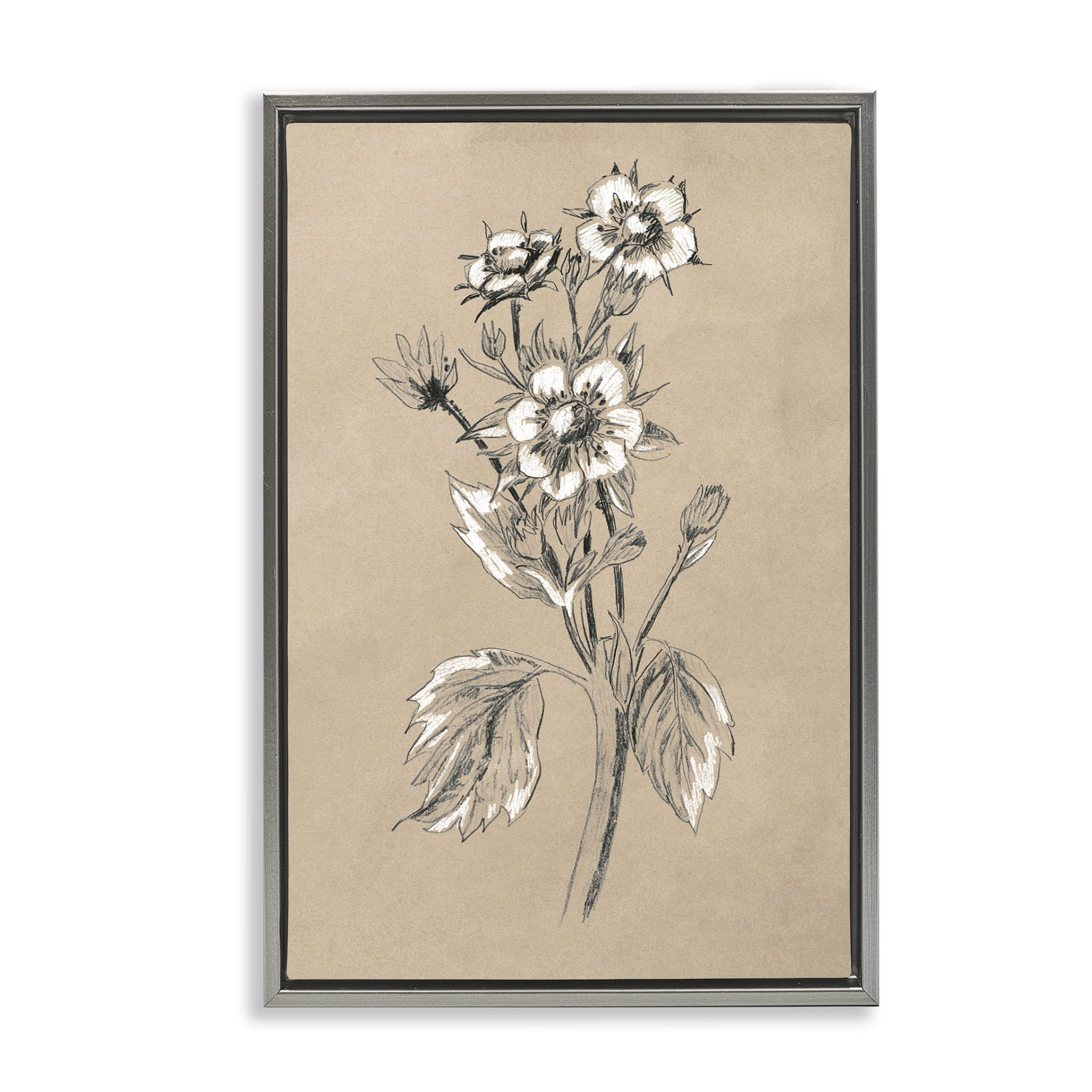 Stupell Industries Apple Blossom Drawing Botanical & Floral Drawing Gray Floater Framed Art Print Wall Art, 17 x 25