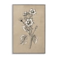 thumbnail image 1 of Stupell Industries Apple Blossom Drawing Botanical & Floral Drawing Gray Framed Art Print Wall Art, 12 x 18, 1 of 10
