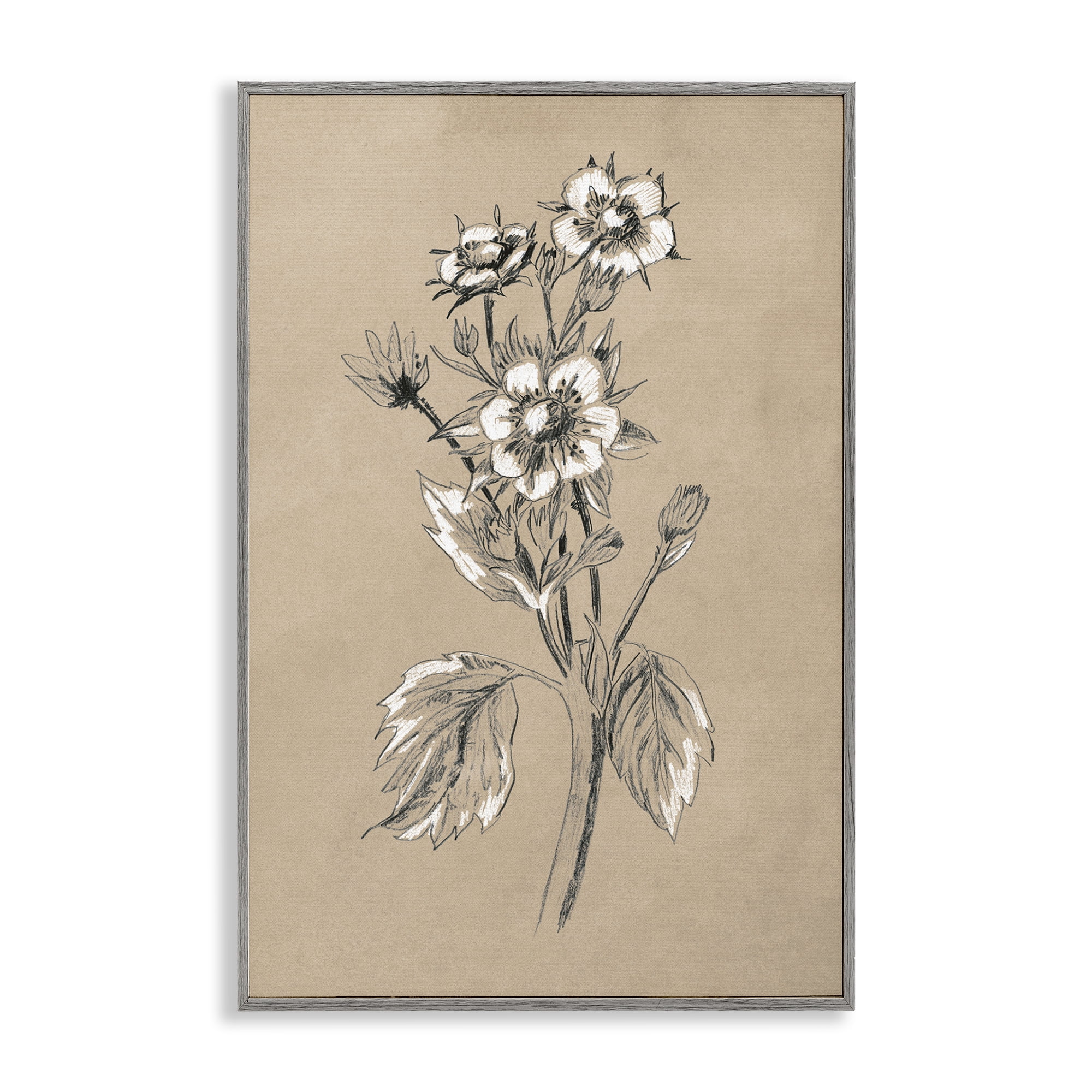 Stupell Industries Apple Blossom Drawing Botanical & Floral Drawing Gray Framed Art Print Wall Art, 16 x 24