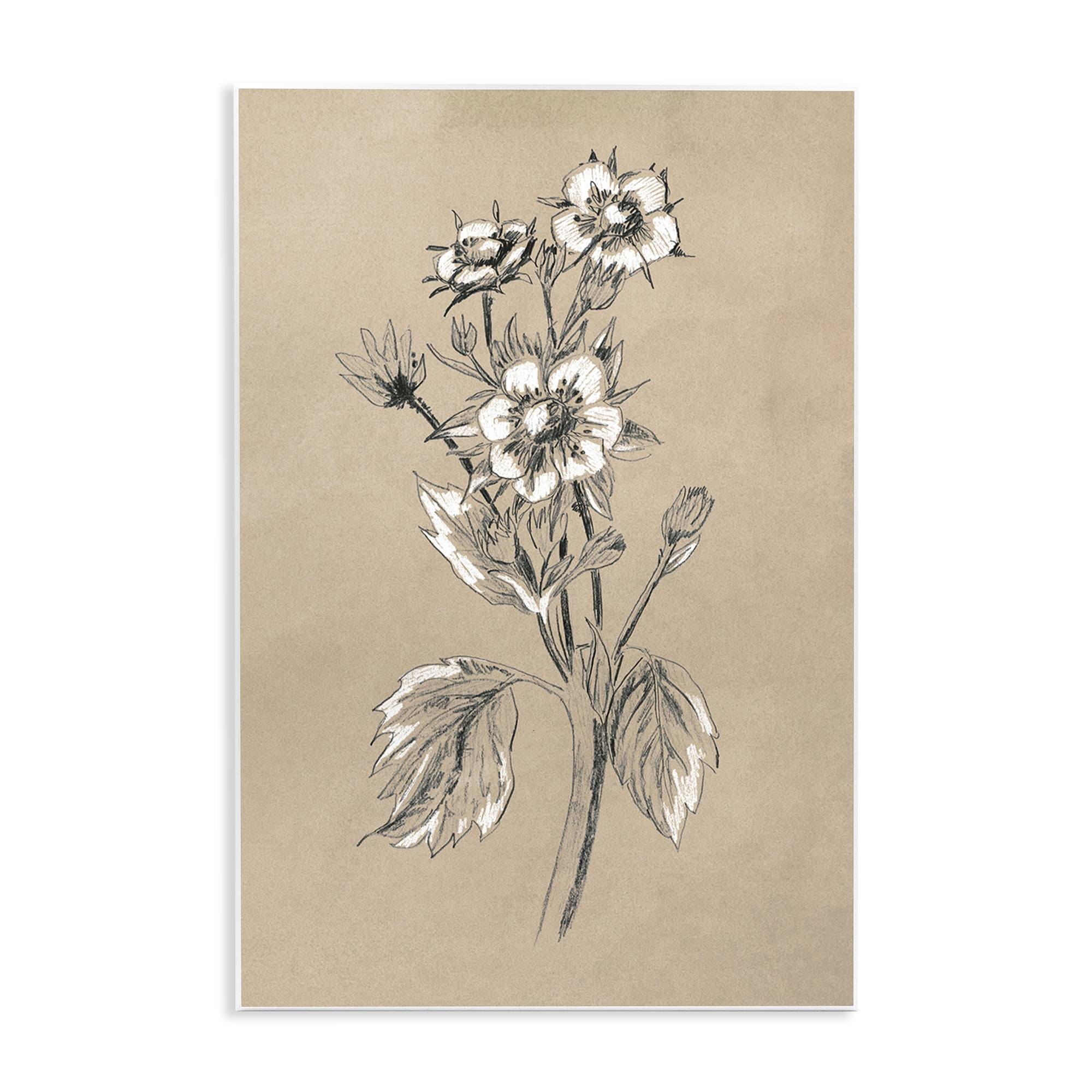 Stupell Industries Apple Blossom Drawing Botanical & Floral Drawing Unframed Art Print Wall Art, 10 x 15