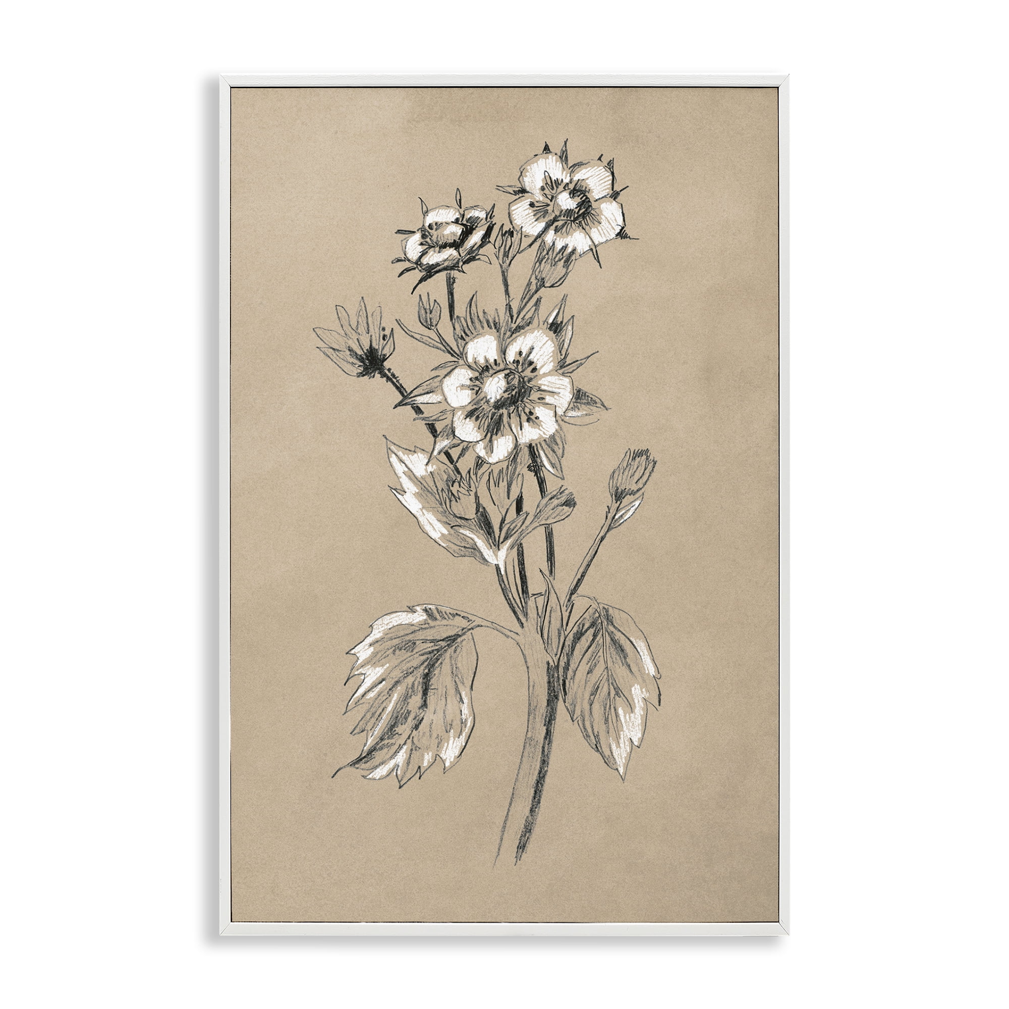 Stupell Industries Apple Blossom Drawing Botanical & Floral Drawing White Framed Art Print Wall Art, 12 x 18