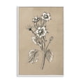 thumbnail image 1 of Stupell Industries Apple Blossom Drawing Botanical & Floral Drawing White Framed Art Print Wall Art, 20 x 30, 1 of 10