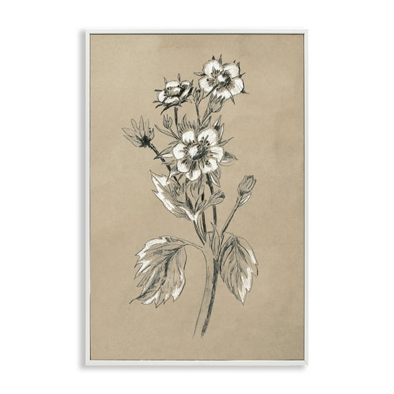 Stupell Industries Apple Blossom Drawing Botanical & Floral Drawing White Framed Art Print Wall Art, 20 x 30