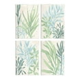 thumbnail image 1 of Stupell Industries Aquatic Botanical Seaweed Plants Graphic Art Unframed Art Print Wall Art, Set of 4, Design by June Erica Vess, 1 of 6