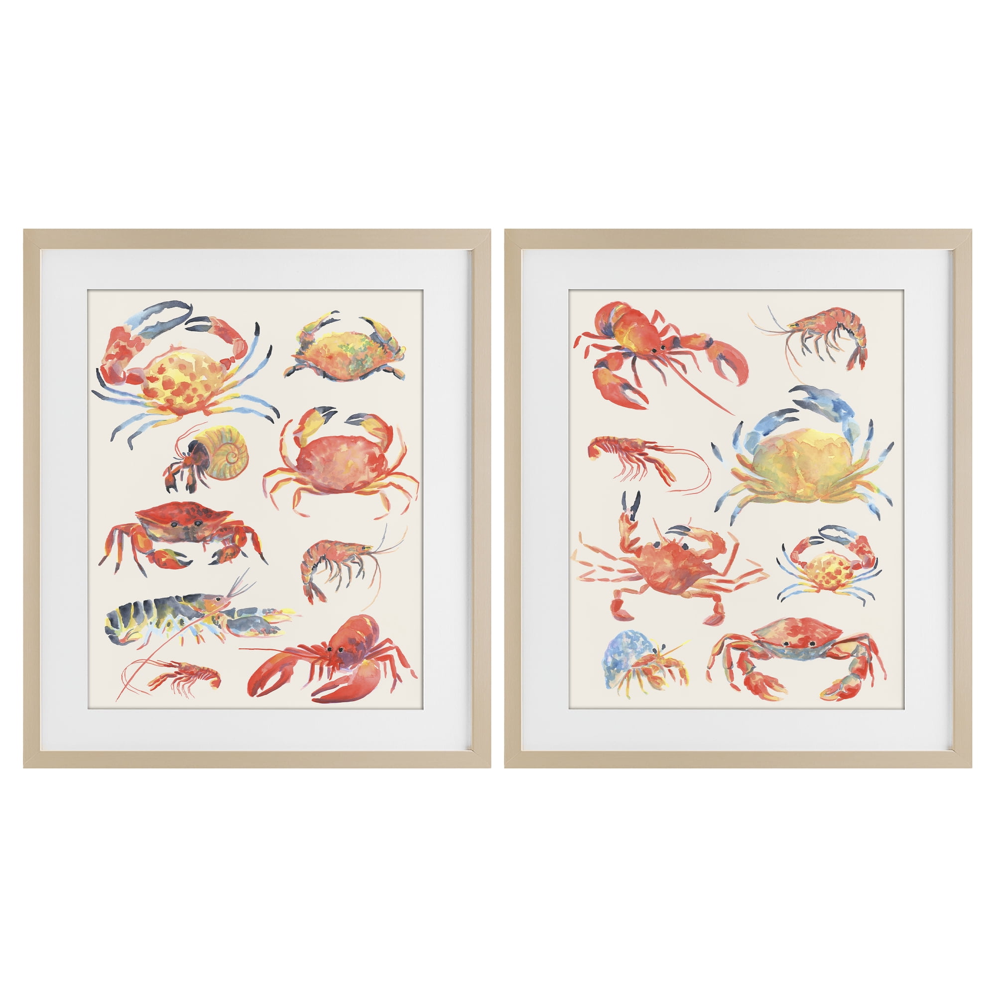 Stupell Industries Aquatic Crustacean Collection 2 Piece Birch Framed Print Under Glass Set, design by June Erica Vess