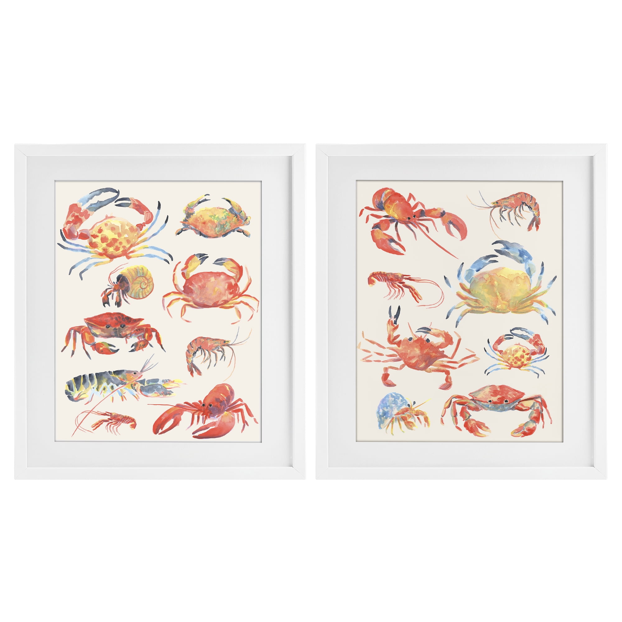 Stupell Industries Aquatic Crustacean Collection 2 Piece White Framed Print Under Glass Set, design by June Erica Vess