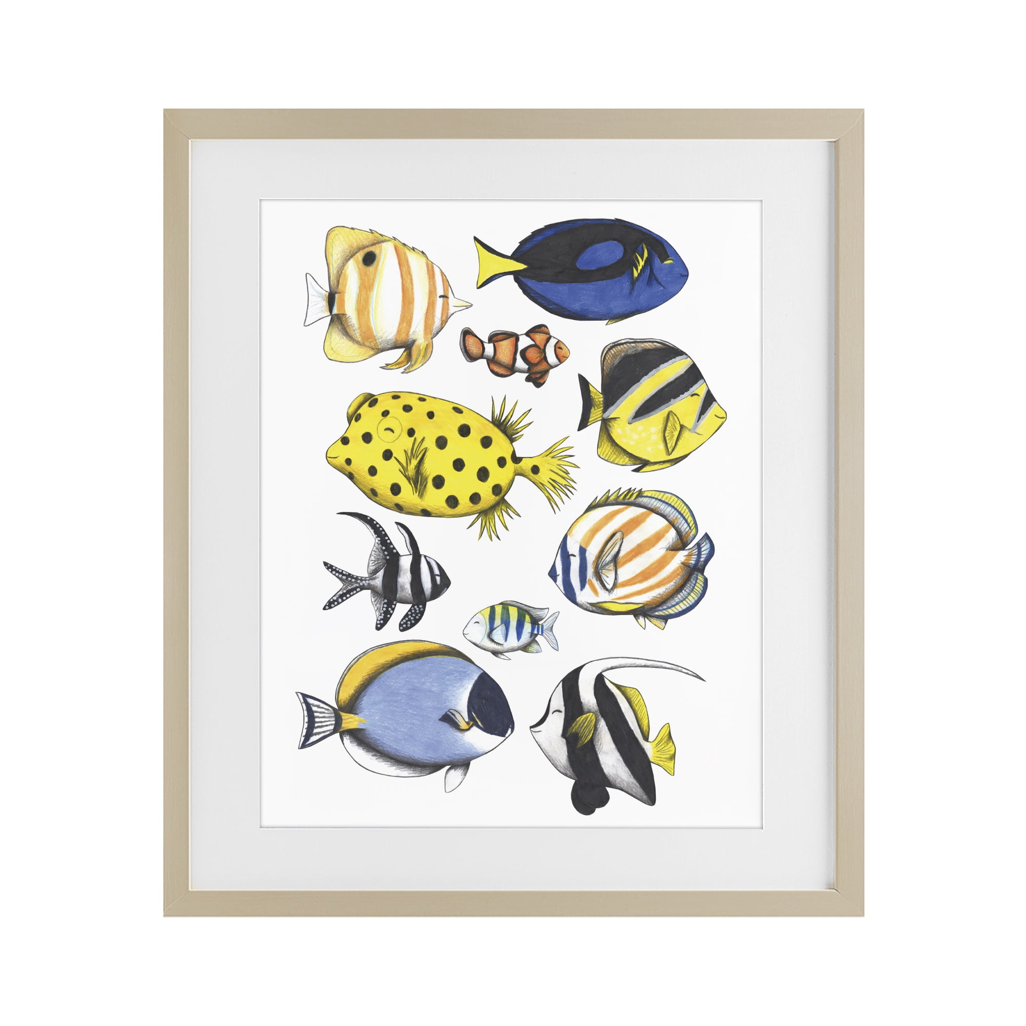 Stupell Industries Aquatic Fishes Collection Birch Framed Print Under Glass, design by Cecilia Battaini