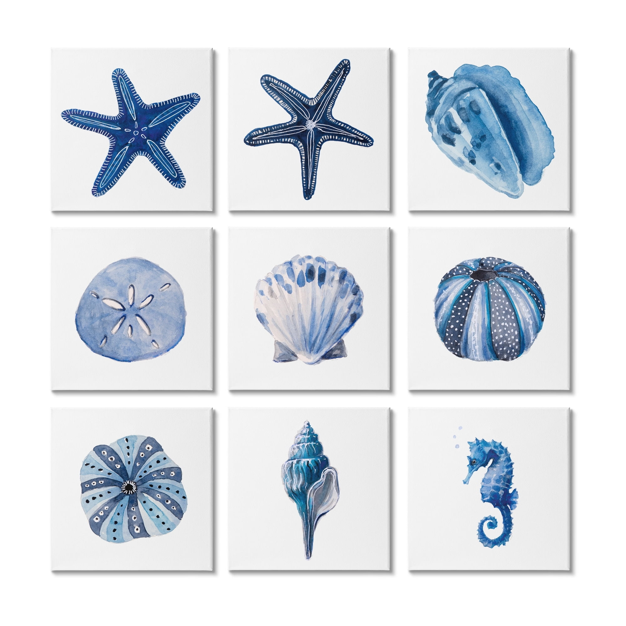 Stupell Industries Aquatic Life Seashell Sea Horse Sand Dollar Arrangement, 12 x 12, Design by June Erica Vess