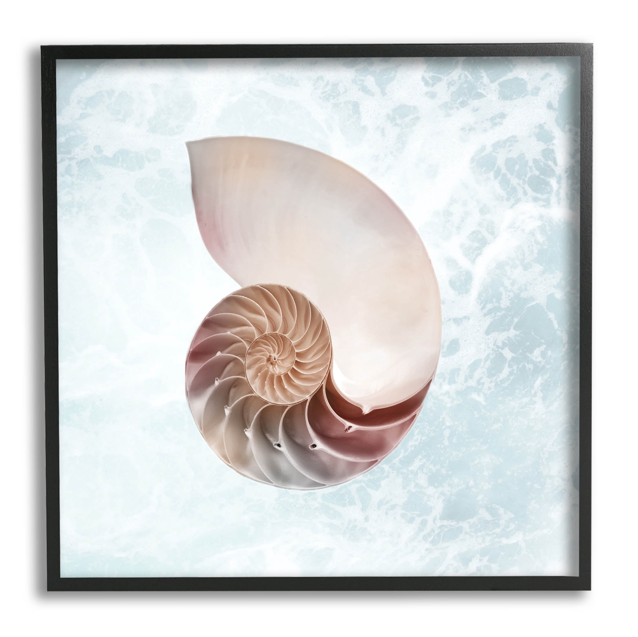 Stupell Industries Aquatic Nautilus Spiral Seashell Graphic Art Black Framed Art Print Wall Art, Design by Marcus Prime
