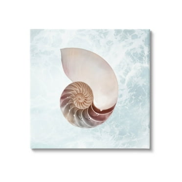 Stupell Industries Aquatic Nautilus Spiral Seashell Graphic Art Gallery Wrapped Canvas Print Wall Art, Design by Marcus Prime