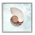 thumbnail image 1 of Stupell Industries Aquatic Nautilus Spiral Seashell Graphic Art Gray Framed Art Print Wall Art, Design by Marcus Prime, 1 of 8