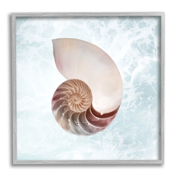 Stupell Industries Aquatic Nautilus Spiral Seashell Graphic Art Gray Framed Art Print Wall Art, Design by Marcus Prime