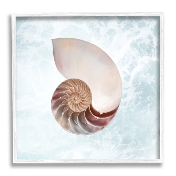 Stupell Industries Aquatic Nautilus Spiral Seashell Graphic Art White Framed Art Print Wall Art, Design by Marcus Prime