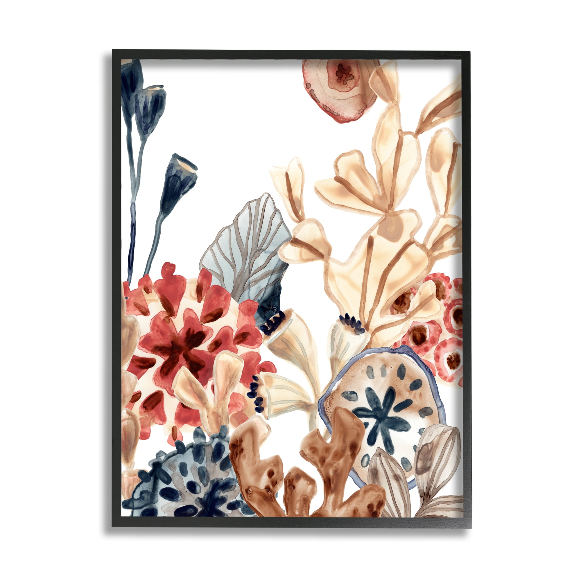 Stupell Industries Aquatic Plant Life Assortment Coral Kelp Sand Dollars Coastal Painting Black framed Art Print Wall Art, 11 x 14, Design by June Erica Vess