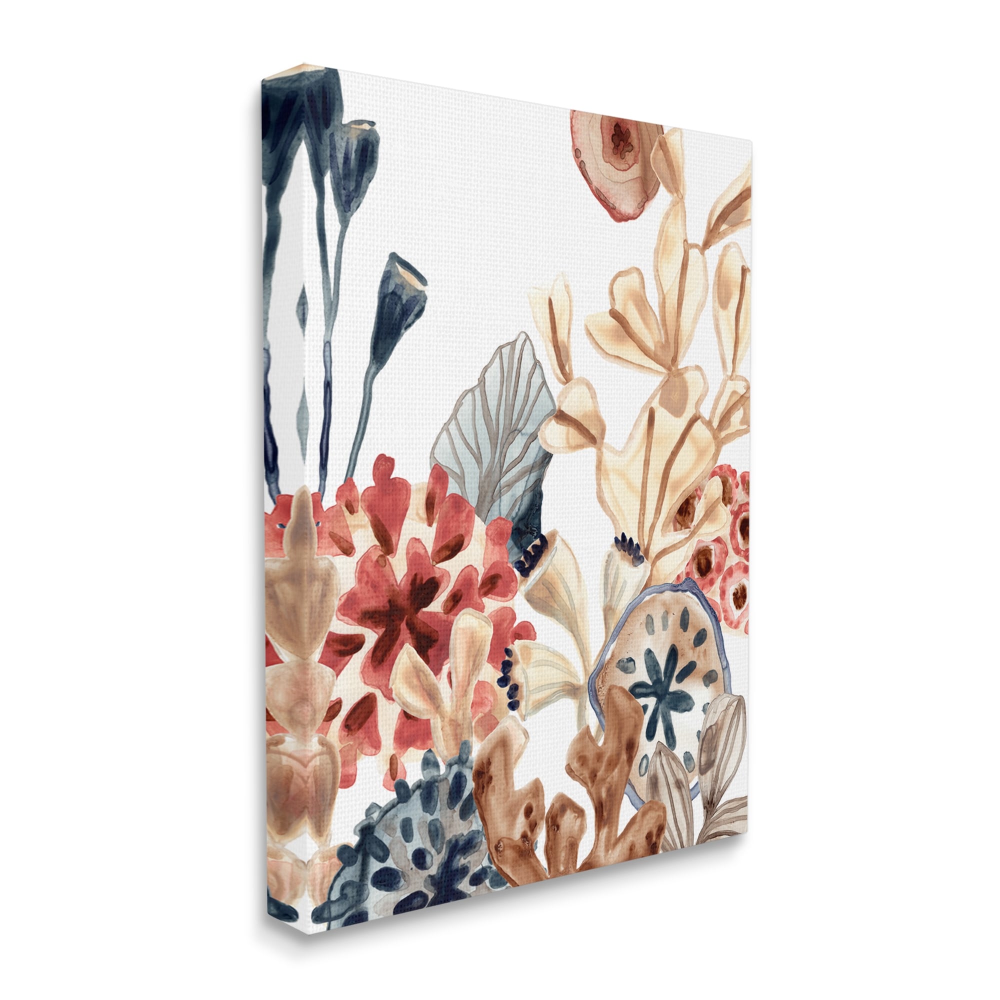Stupell Industries Aquatic Plant Life Assortment Coral Kelp Sand Dollars Paintings Gallery-Wrapped Canvas Print Wall Art, 30x40, by June Erica Vess