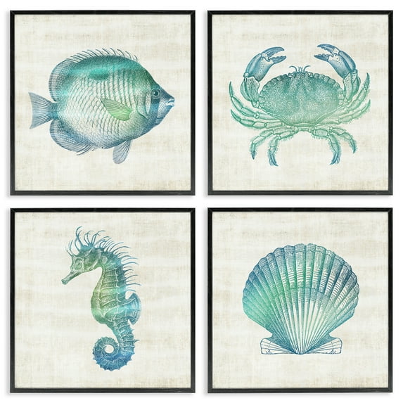 Stupell Industries Aquatic Sea Life Impressions Animals Painting Black Framed Art Print Wall Art, 12 x 12, Set of 4