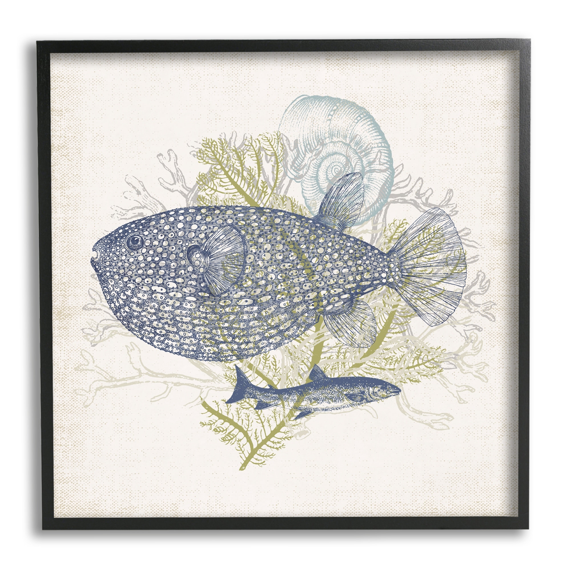 Stupell Industries Aquatic Sea Life Rustic Seashell Layered Fish Graphic Art Black Framed Art Print Wall Art, Design by Victoria Barnes