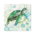 thumbnail image 1 of Stupell Industries Aquatic Sea Turtle Water Bubbles Watercolor Detail Painting Gallery Wrapped Canvas Print Wall Art, Design by Carol Robinson, 1 of 5