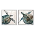 thumbnail image 1 of Stupell Industries Aquatic Sea Turtles Swimming Graphic Art Gray Framed Art Print Wall Art, Set of 2, Design by Carol Robinson, 1 of 7