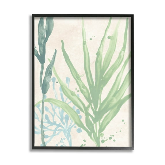 Stupell Industries Aquatic Seaweed Botanicals Graphic Art Black Framed Art Print Wall Art, Design by June Erica Vess