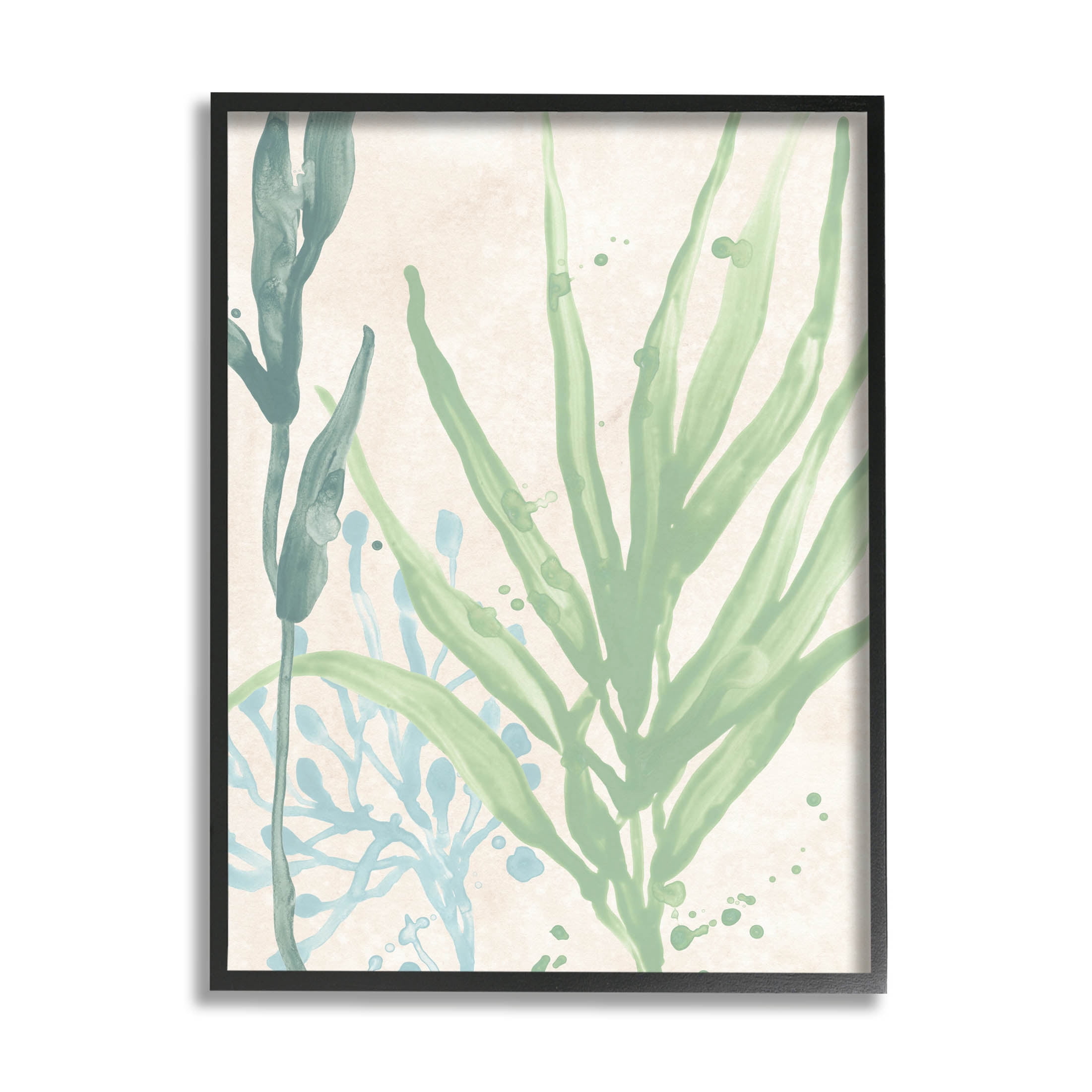 Stupell Industries Aquatic Seaweed Botanicals Graphic Art Black Framed Art Print Wall Art, Design by June Erica Vess