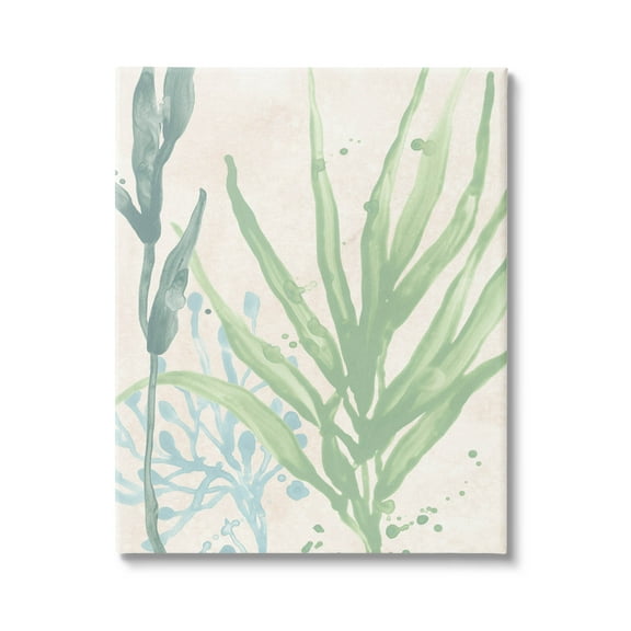 Stupell Industries Aquatic Seaweed Botanicals Graphic Art Gallery Wrapped Canvas Print Wall Art, Design by June Erica Vess