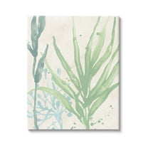 Stupell Industries Aquatic Seaweed Botanicals Graphic Art Gallery Wrapped Canvas Print Wall Art, Design by June Erica Vess