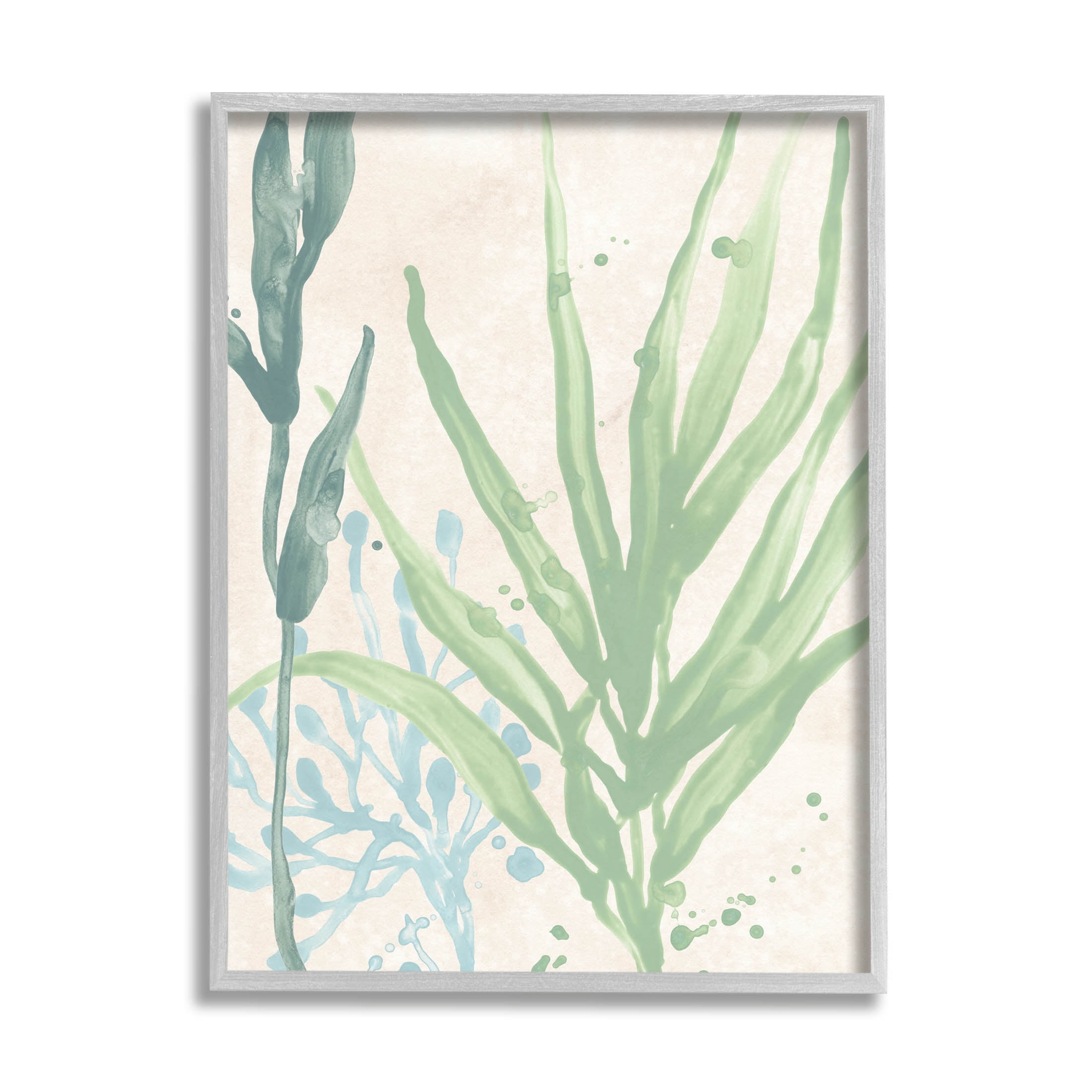 Stupell Industries Aquatic Seaweed Botanicals Graphic Art Gray Framed Art Print Wall Art, Design by June Erica Vess