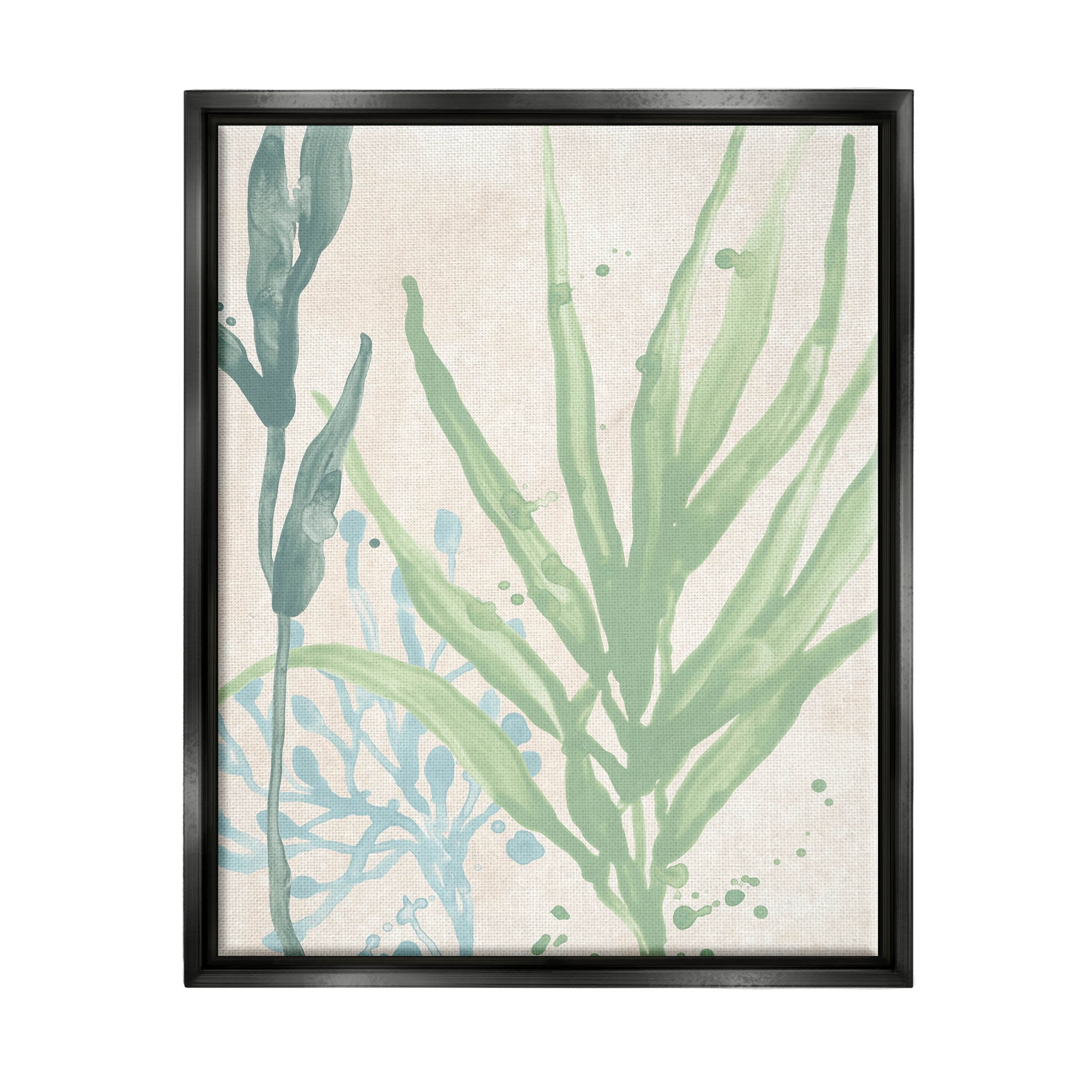 Stupell Industries Aquatic Seaweed Botanicals Graphic Art Jet Black Floating Framed Canvas Print Wall Art, Design by June Erica Vess