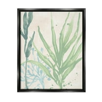 Stupell Industries Aquatic Seaweed Botanicals Graphic Art Jet Black Floating Framed Canvas Print Wall Art, Design by June Erica Vess