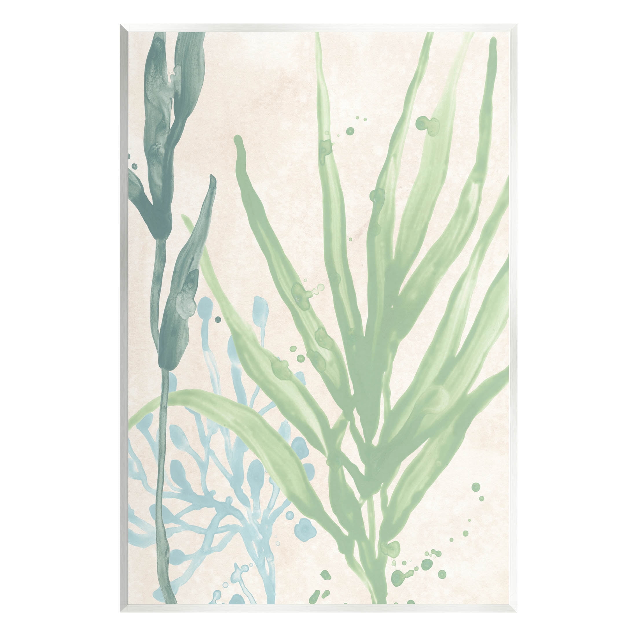 Stupell Industries Aquatic Seaweed Botanicals Graphic Art Unframed Art Print Wall Art, Design by June Erica Vess
