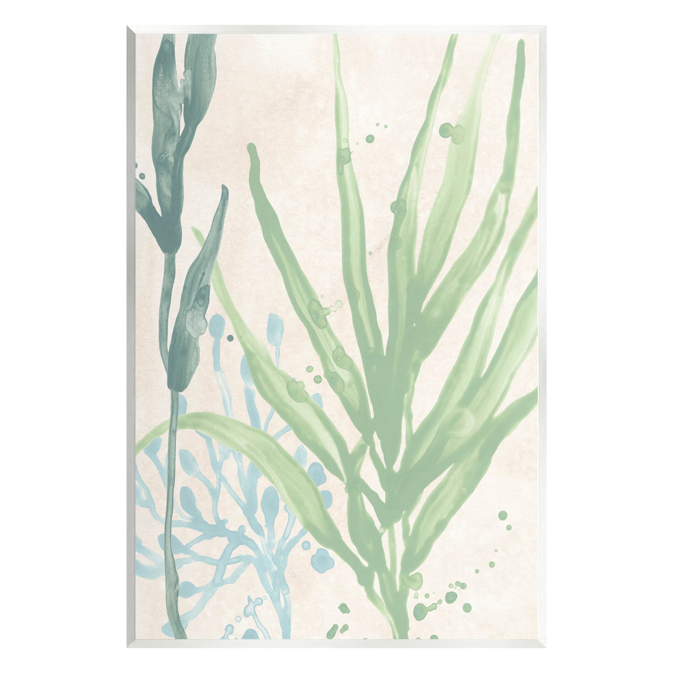 Stupell Industries Aquatic Seaweed Botanicals Graphic Art Unframed Art Print Wall Art, Design by June Erica Vess