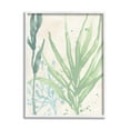 thumbnail image 1 of Stupell Industries Aquatic Seaweed Botanicals Graphic Art White Framed Art Print Wall Art, Design by June Erica Vess, 1 of 7