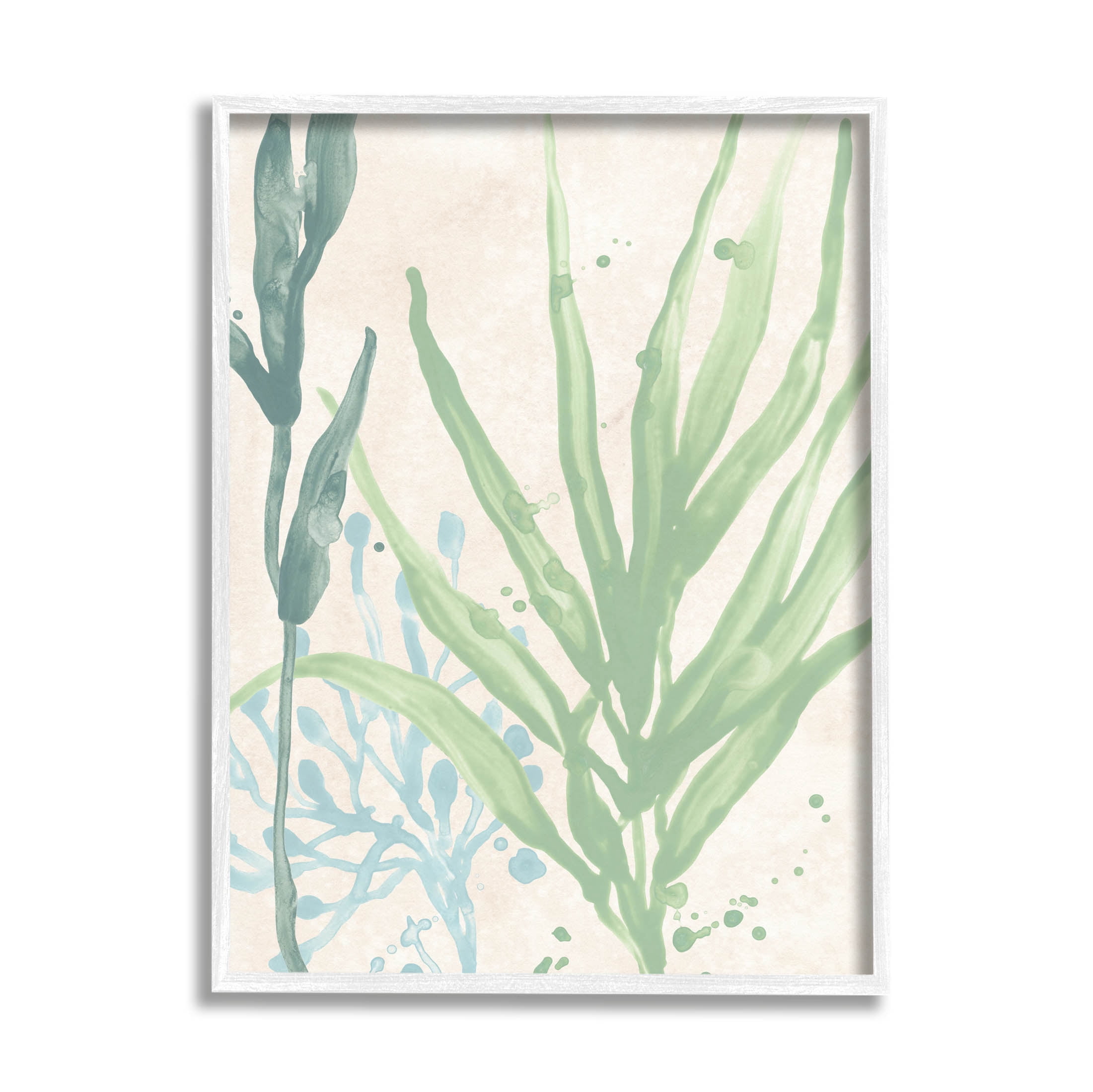 Stupell Industries Aquatic Seaweed Botanicals Graphic Art White Framed Art Print Wall Art, Design by June Erica Vess