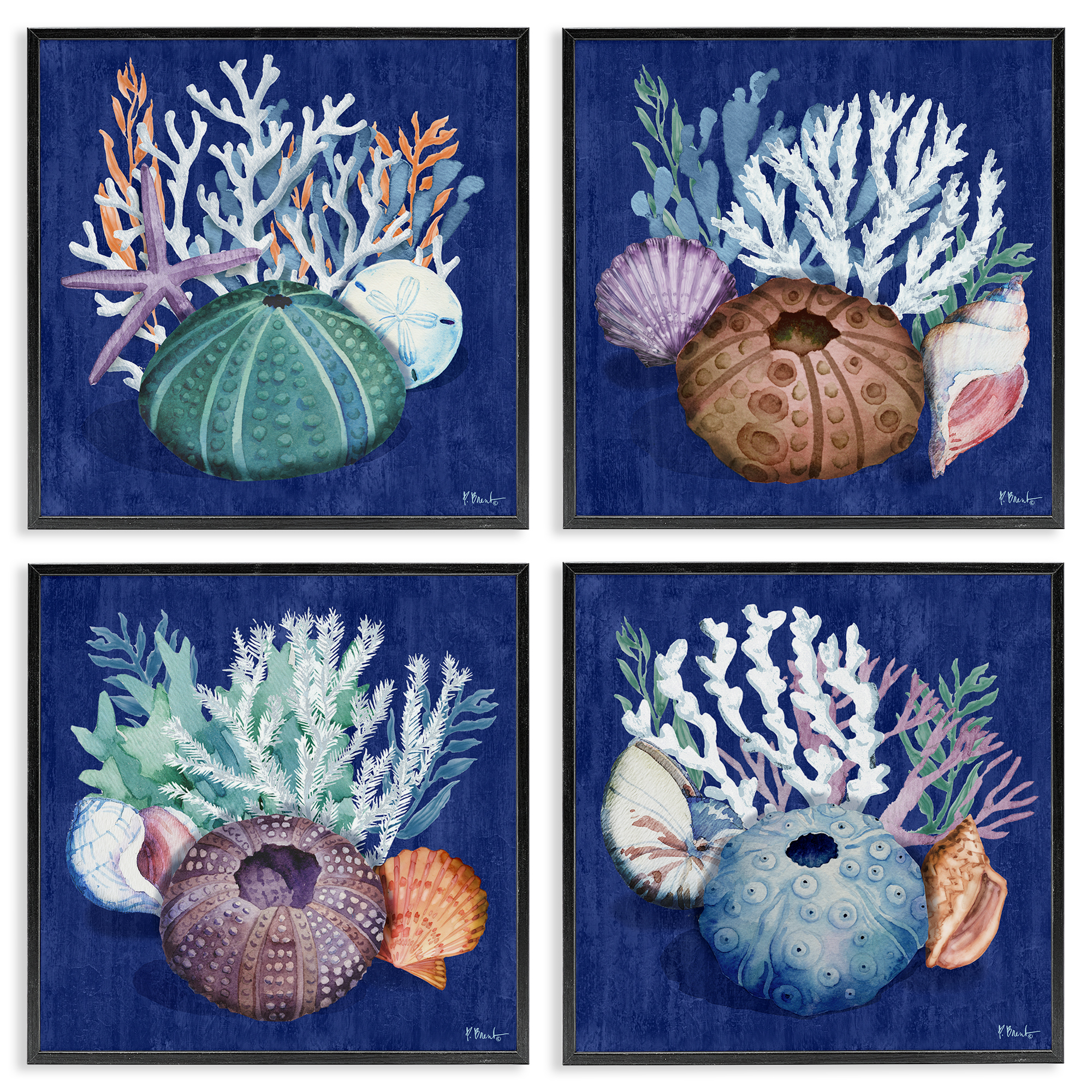 Stupell Industries Aquatic Shells Still Life Nautical & Beach Painting Black Framed Art Print Wall Art, 17 x 17, Set of 4