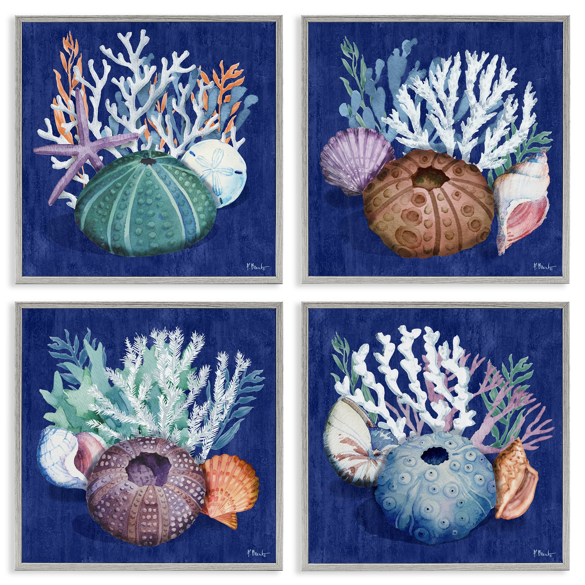 Stupell Industries Aquatic Shells Still Life Nautical & Beach Painting Gray Framed Art Print Wall Art, 12 x 12, Set of 4