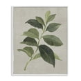 thumbnail image 1 of Stupell Industries Arabica Coffee Plant Leaf Floral Painting White Framed Art Print Wall Art, 11 x 14, 1 of 8