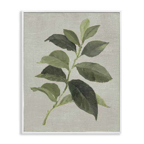 Stupell Industries Arabica Coffee Plant Leaf Floral Painting White Framed Art Print Wall Art, 11 x 14