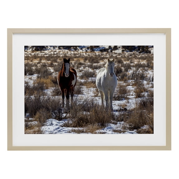 Stupell Industries Arches Horse Pair in Snow Birch Framed Print Under Glass, design by Jeff Poe Photography