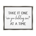 thumbnail image 1 of Stupell Industries Are You Kidding Me Humorous Casual Quote Saying Graphic Art Luster Gray Floating Framed Canvas Print Wall Art, Design by Lettered and Lined, 1 of 5