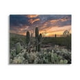 thumbnail image 1 of Stupell Industries Arid Desert Cactus Sunset Photograph Gallery Wrapped Canvas Print Wall Art, Design by Nathan Larson, 1 of 7