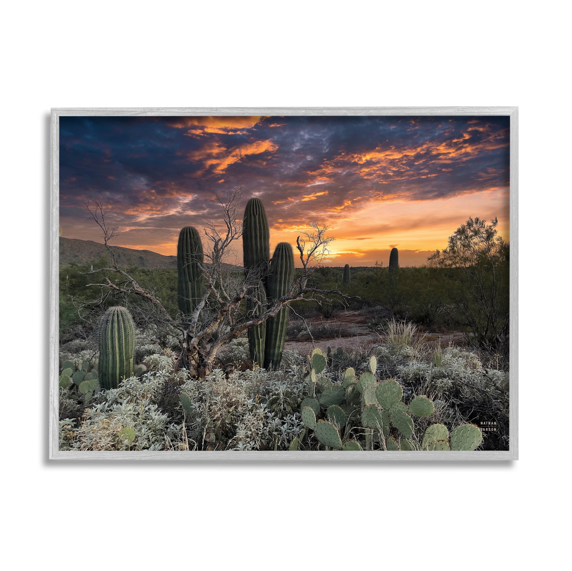 Stupell Industries Arid Desert Cactus Sunset Photograph Gray Framed Art Print Wall Art, Design by Nathan Larson