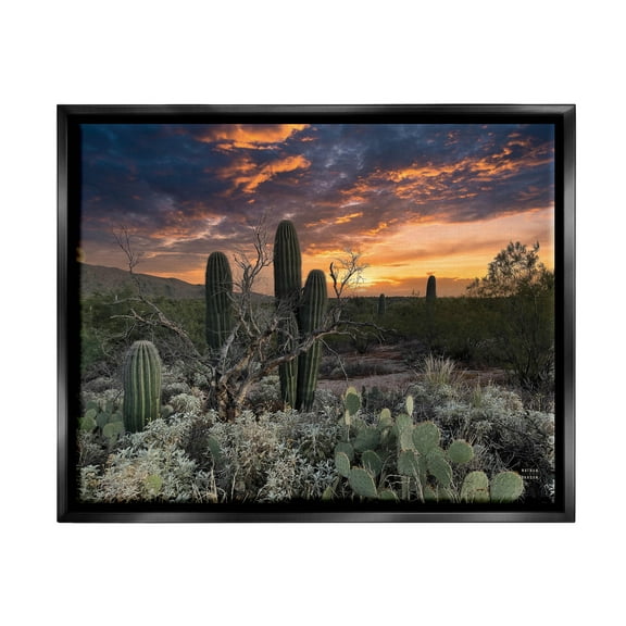 Stupell Industries Arid Desert Cactus Sunset Photograph Jet Black Floating Framed Canvas Print Wall Art, Design by Nathan Larson