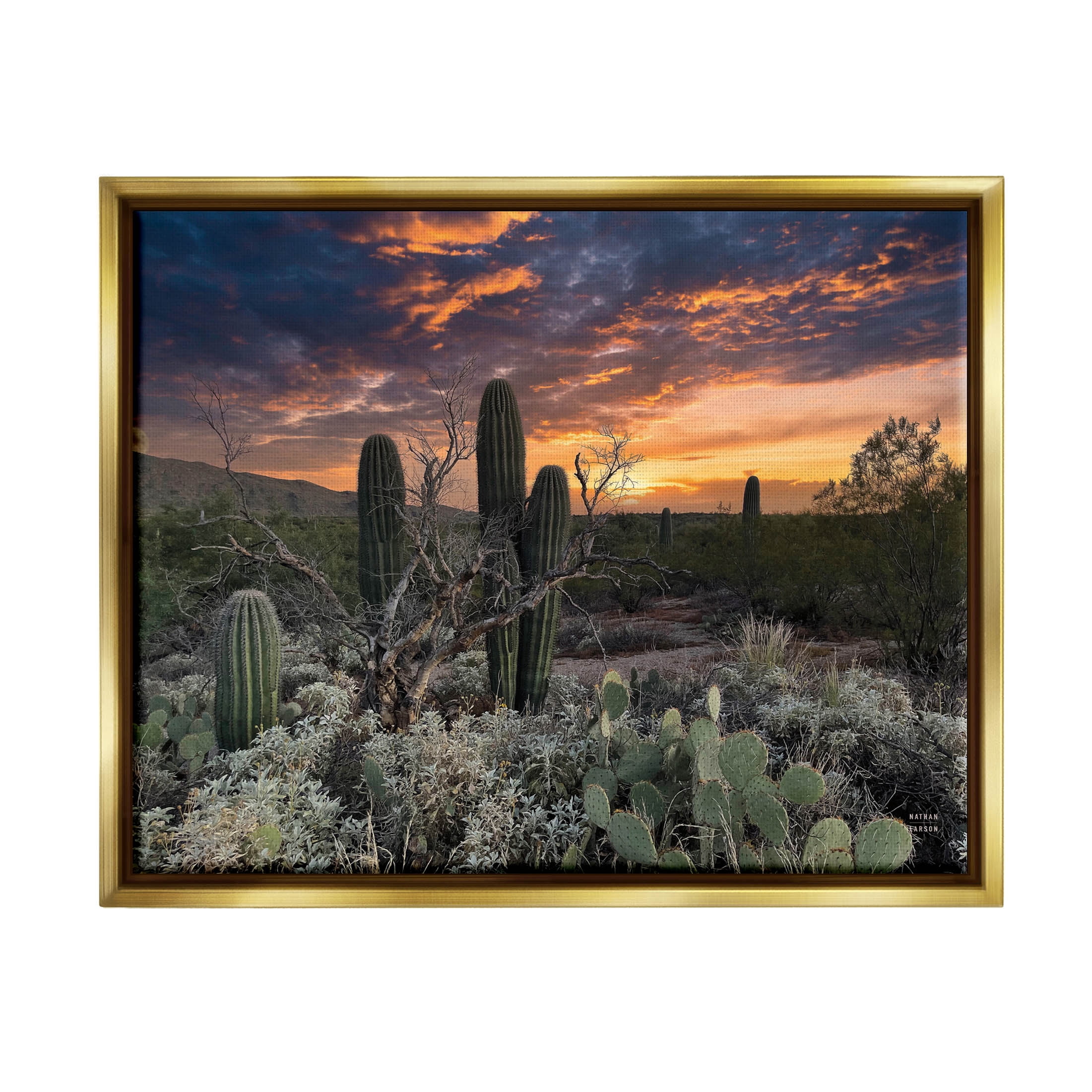 Stupell Industries Arid Desert Cactus Sunset Photograph Metallic Gold Floating Framed Canvas Print Wall Art, Design by Nathan Larson