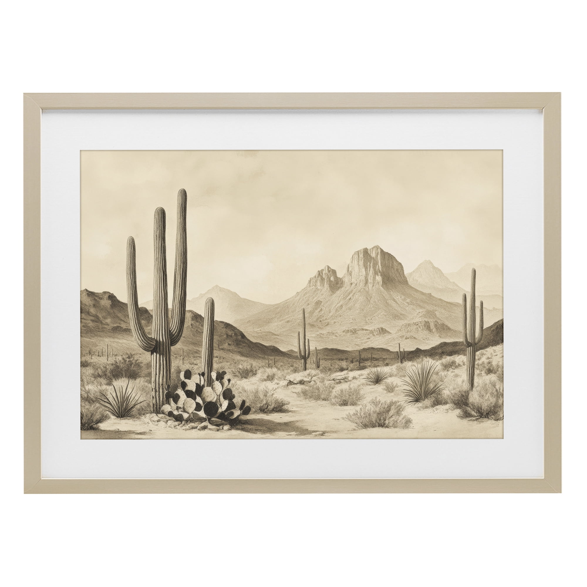 Stupell Industries Arizona Desert Vista Birch Framed Print Under Glass, design by Petal Prints Design