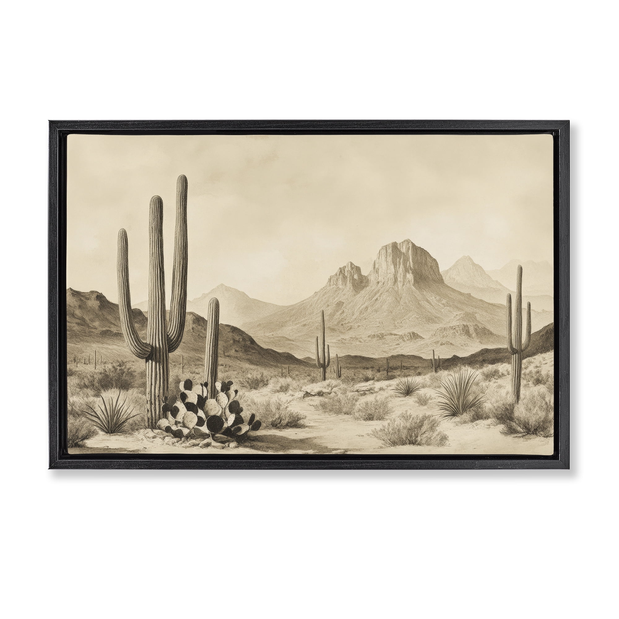 Stupell Industries Arizona Desert Vista Black Framed Floater Canvas Wall Art, design by Petal Prints Design