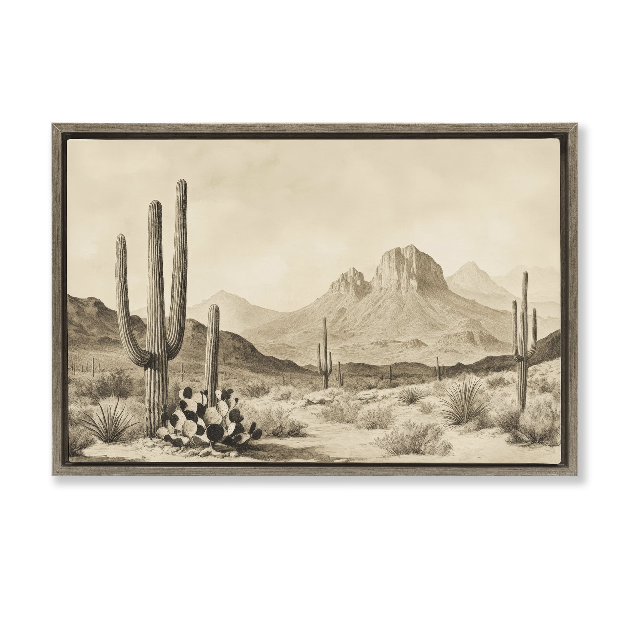 Stupell Industries Arizona Desert Vista Brown Framed Floater Canvas Wall Art, design by Petal Prints Design