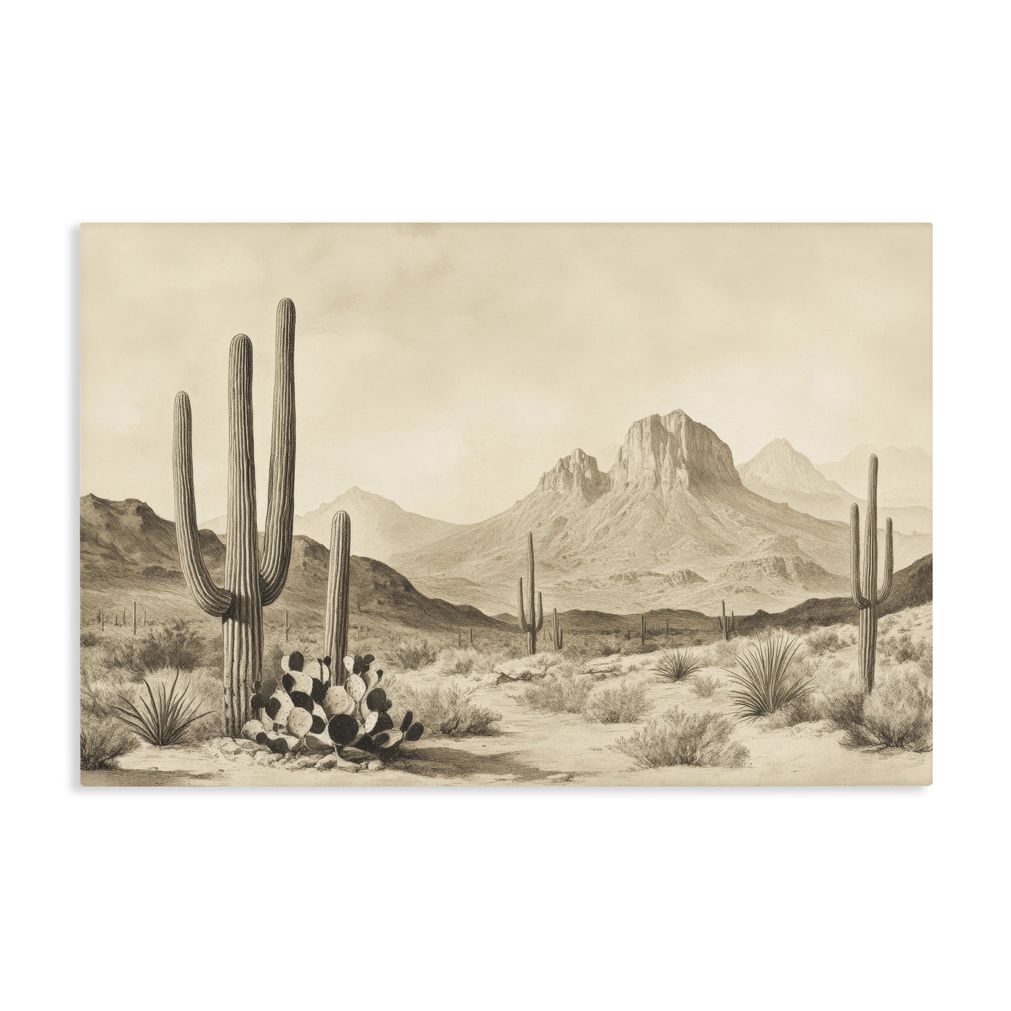 Stupell Industries Arizona Desert Vista Canvas Wall Art, design by Petal Prints Design