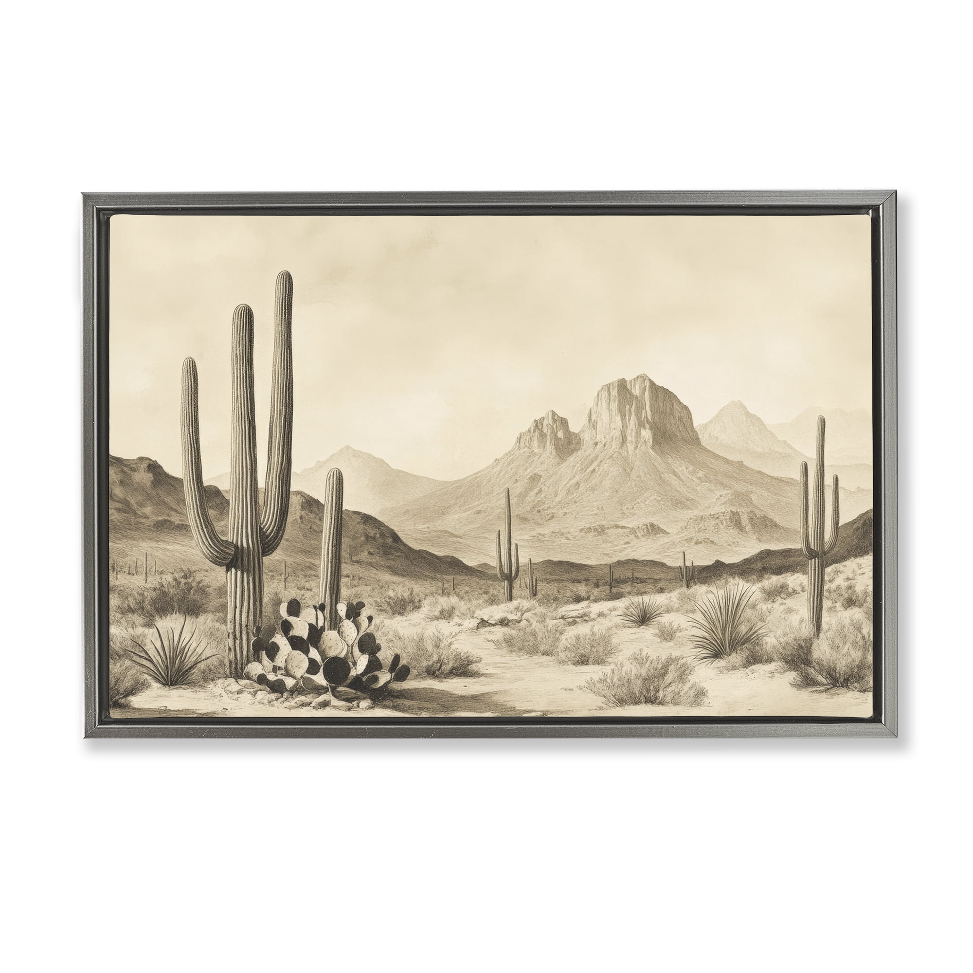 Stupell Industries Arizona Desert Vista Gray Framed Floater Canvas Wall Art, design by Petal Prints Design