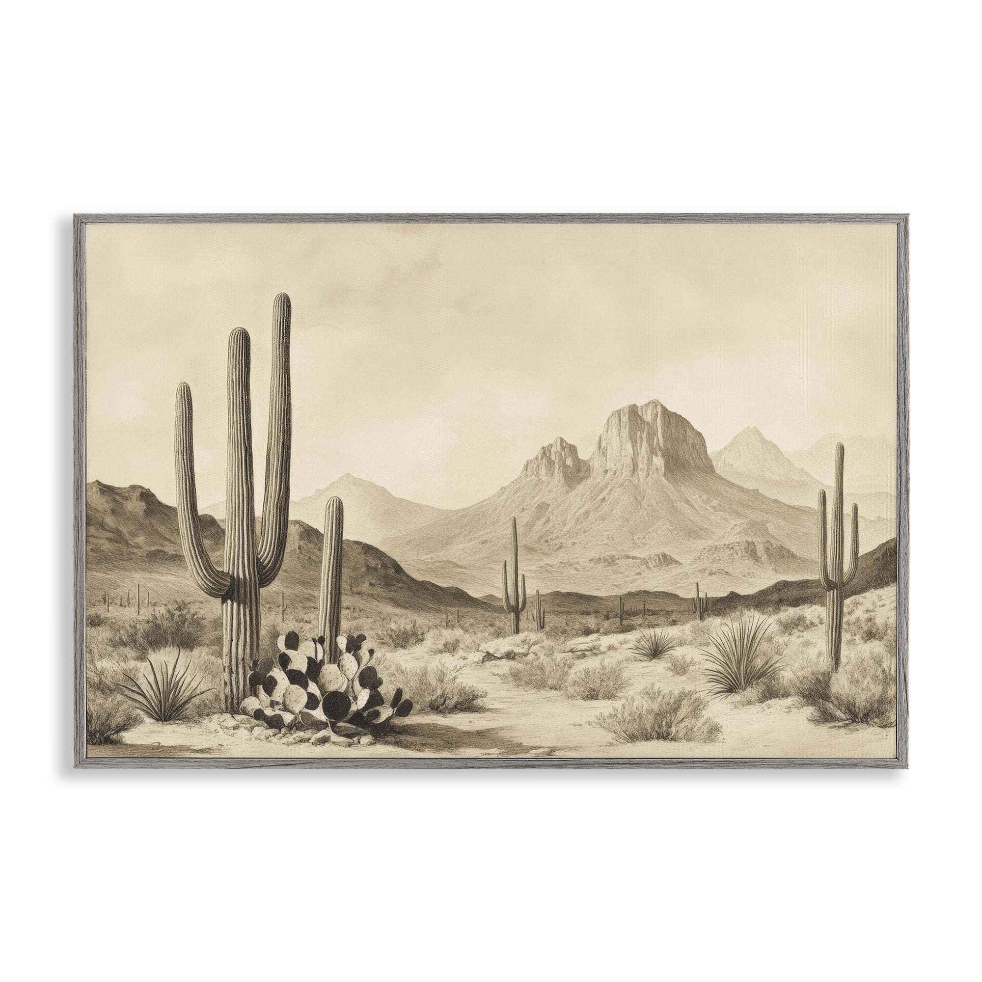 Stupell Industries Arizona Desert Vista Gray Framed Giclee Art, design by Petal Prints Design